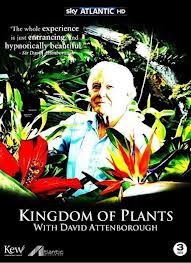 сериал Царство растений / Kingdom of Plants онлайн